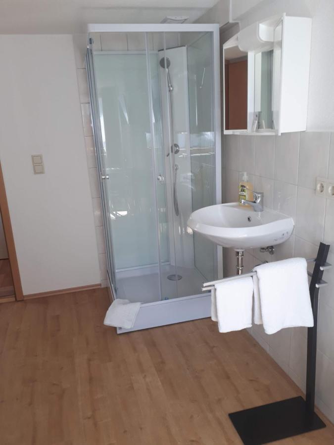 Gaestehaus Pension Waldhorn Weilen unter den Rinnen Екстериор снимка